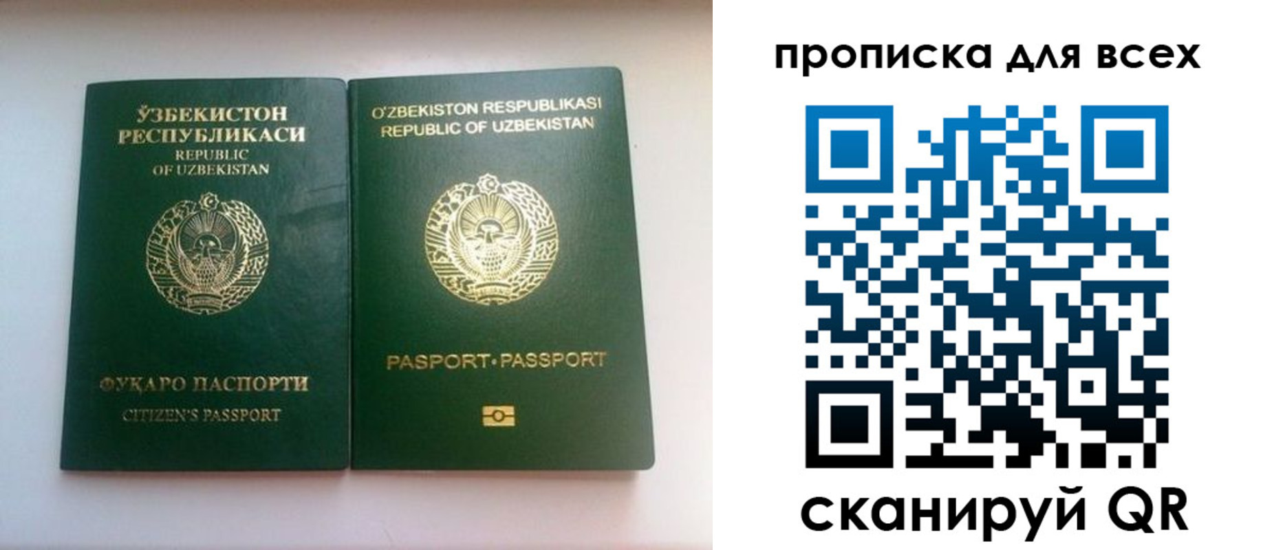 прописка для школы в Железногорск-Илимском